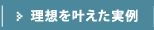 理想を叶えた実例
