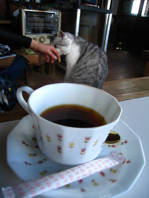 コーヒーと猫と